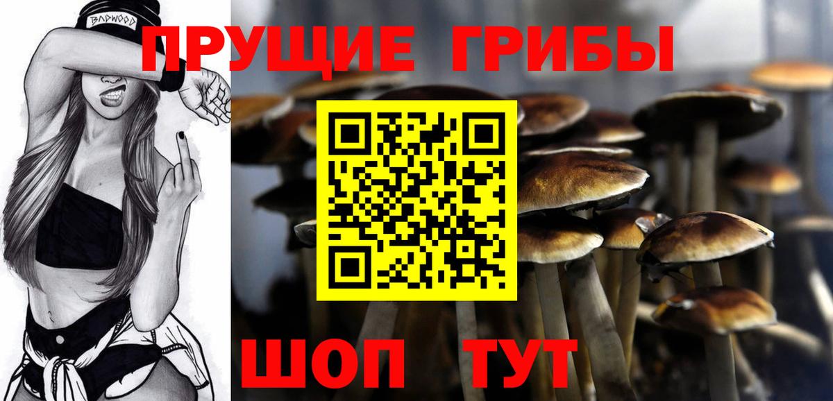 Галлюциногенные грибы Magic Shrooms  Вход с VPN  Псилоцибиновые грибы MAGIC MUSHROOMS  Якутск 